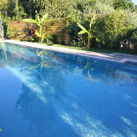 公寓 Paradiso Del Garda Vista-verde 巴多利诺